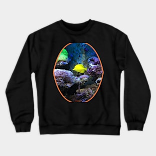 fish, cute fish, fish colorful, fish coral, beatiful fish Crewneck Sweatshirt